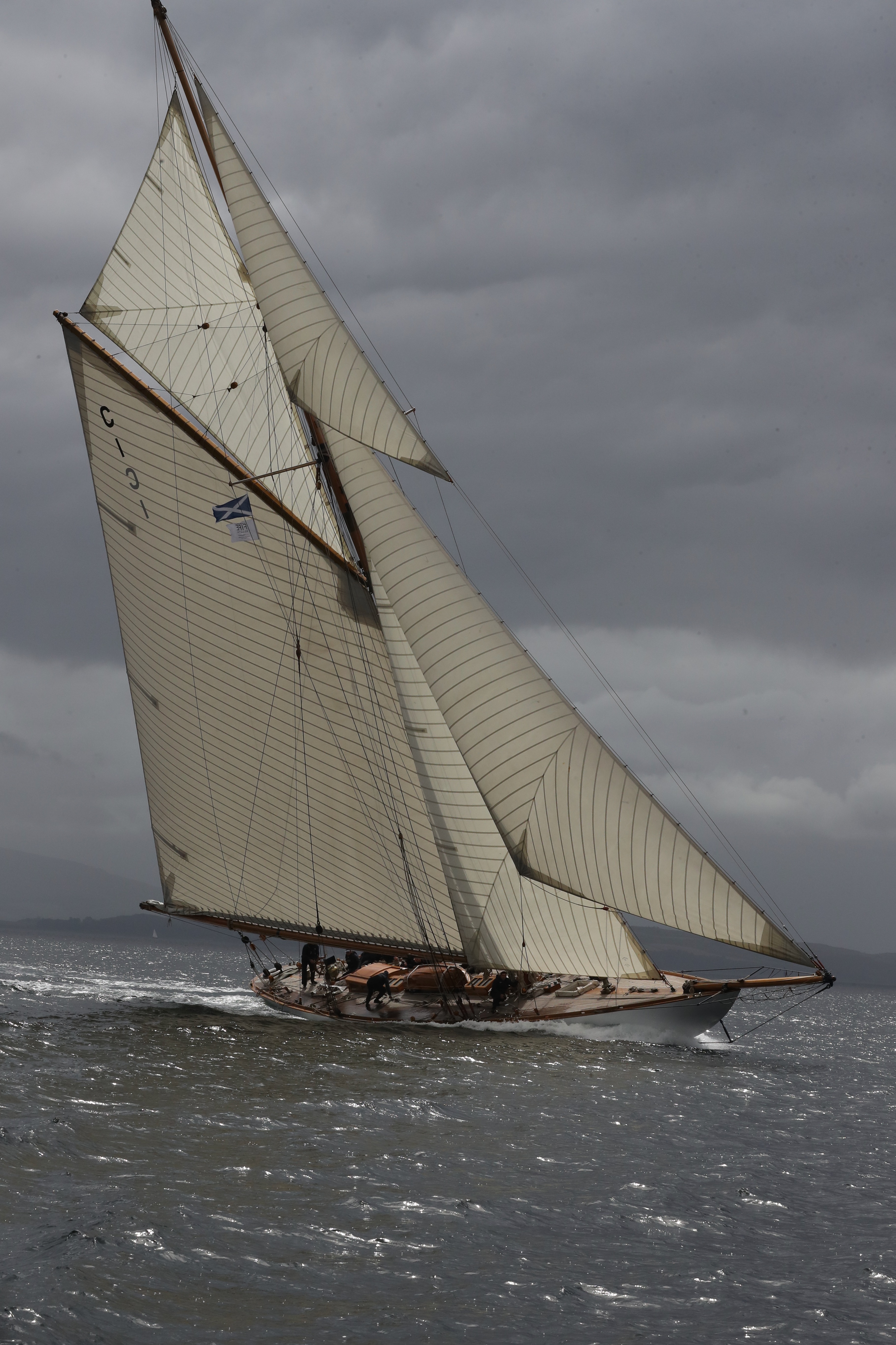 Mariquita Fife Regatta 3